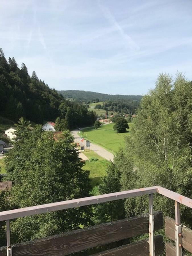 Fewo Mit Pool Haus Enere Au Todtmoos Bagian luar foto