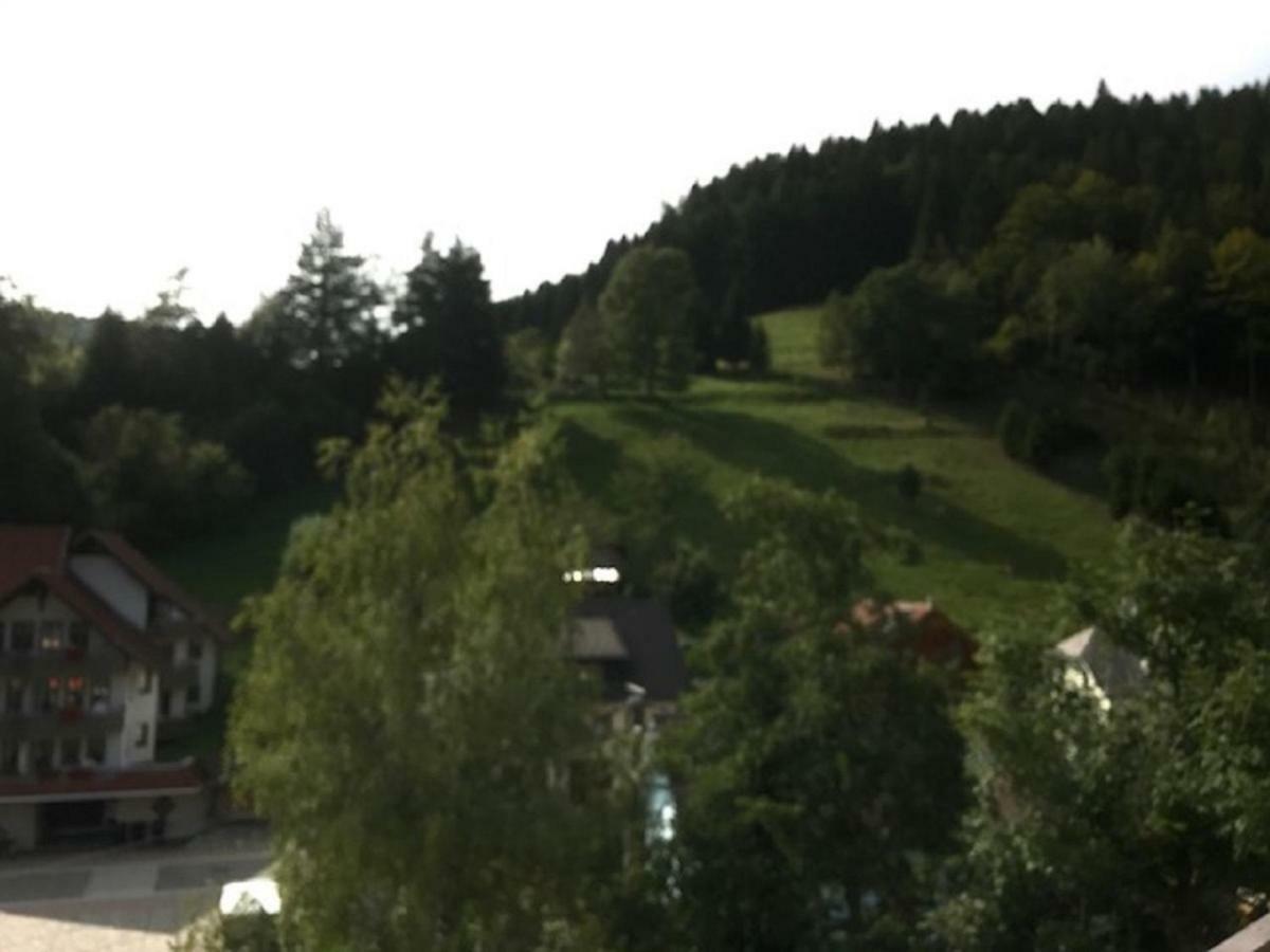 Fewo Mit Pool Haus Enere Au Todtmoos Bagian luar foto