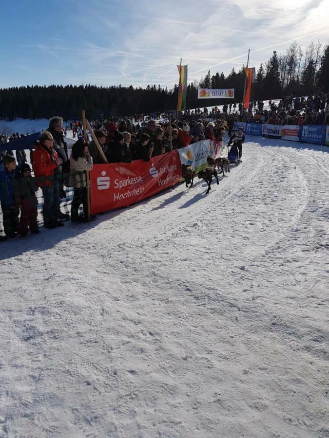 Fewo Mit Pool Haus Enere Au Todtmoos Bagian luar foto