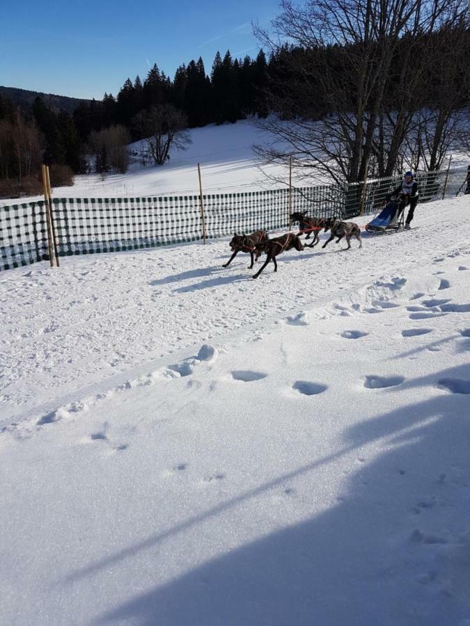 Fewo Mit Pool Haus Enere Au Todtmoos Bagian luar foto